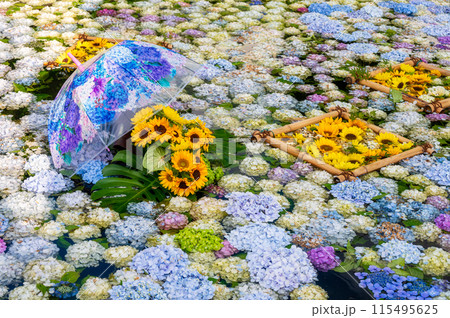 あじさいの池　あじさいアート　開成あじさい祭り 115495625