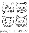 猫の顔の線画 115495656