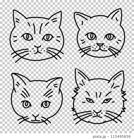 line drawing of cat's face line drawing of cat's face 115495656