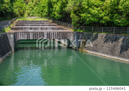 瀬田川へ合流する水路 大津放水路 滋賀県大津市 瀬田川へ合流する水路 大津放水路 滋賀県大津市 115496041