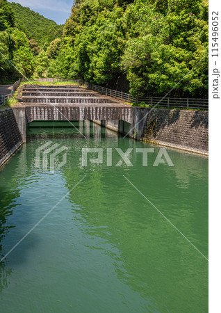 瀬田川へ合流する水路 大津放水路 滋賀県大津市 瀬田川へ合流する水路 大津放水路 滋賀県大津市 115496052