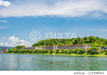 夏の瀬田川風景　滋賀県大津市 115496061