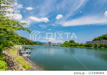 夏の瀬田川風景 滋賀県大津市 夏の瀬田川風景 滋賀県大津市 115496064