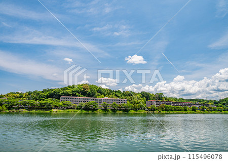 夏の瀬田川風景 滋賀県大津市 夏の瀬田川風景 滋賀県大津市 115496078