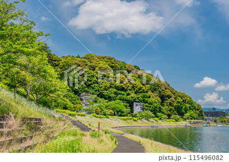 夏の瀬田川風景　滋賀県大津市 115496082