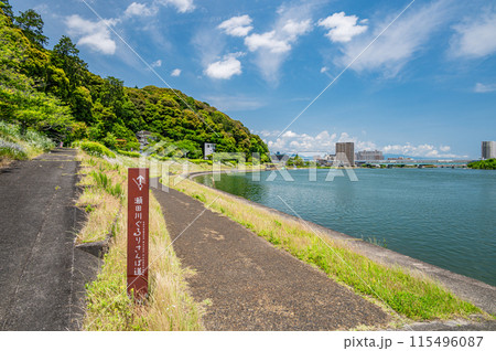 夏の瀬田川風景　滋賀県大津市 115496087