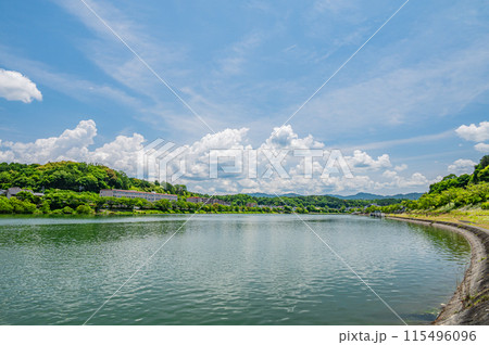 夏の瀬田川風景　滋賀県大津市 115496096
