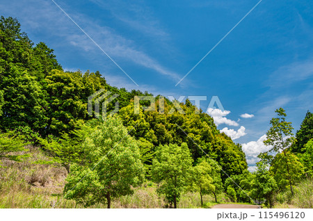 大津市伽藍山公園付近の山林 大津市伽藍山公園付近の山林 115496120