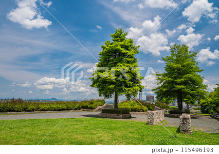 大津市なぎさ公園 115496193