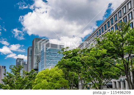 中之島公園とオフィス街の風景 大阪市 中之島公園とオフィス街の風景 大阪市 115496209