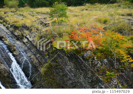 岩盤の草紅葉 岩盤の草紅葉 115497029
