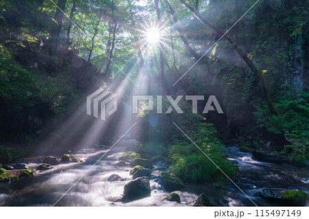 【光芒素材】夏の竜返しの滝【長野県】 115497149