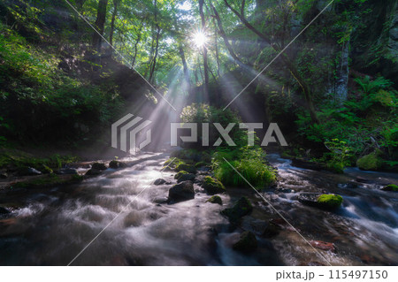 【光芒素材】夏の竜返しの滝【長野県】 115497150