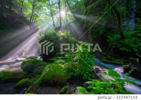 【光芒素材】夏の竜返しの滝【長野県】 115497154
