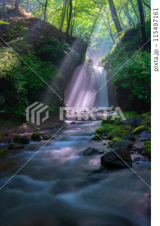 【光芒素材】夏の竜返しの滝【長野県】 【光芒素材】夏の竜返しの滝【長野県】 115497161