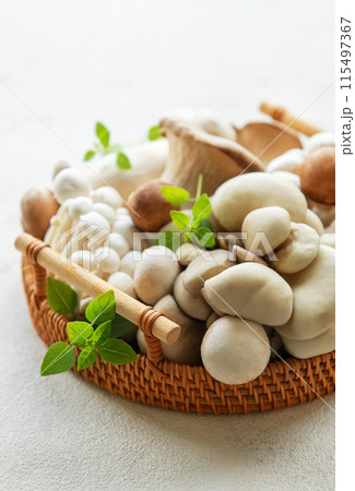 Variety of mushrooms 115497367