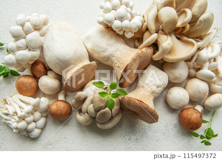 Assortment of various mushrooms Assortment of various mushrooms 115497372