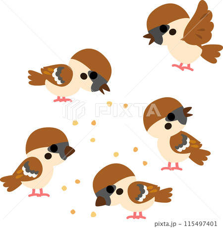 地面で餌をついばむたくさんのスズメ 地面で餌をついばむたくさんのスズメ 115497401