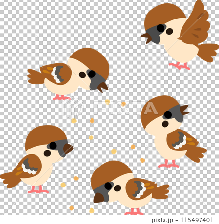 地面で餌をついばむたくさんのスズメ 地面で餌をついばむたくさんのスズメ 115497401