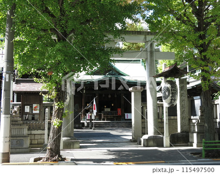 東京都中央区の鐵砲洲稲荷神社（鉄砲洲稲荷神社） 115497500