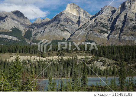 カナダ　アイスフィールド　国道沿い景観 115498192