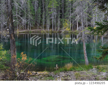 カナダ　キャンモア　グラッシーレイクス 115498205