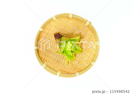 フキノトウ　ふきのとう　蕗の薹 115498542