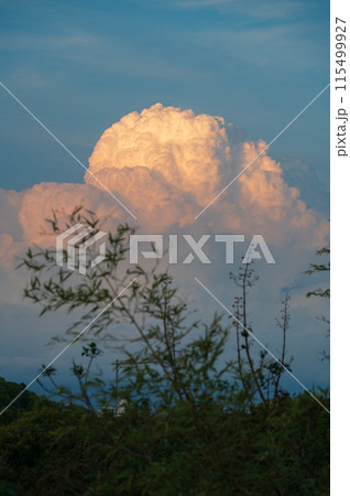 夏の空 空に浮かぶ入道雲 夏の空 空に浮かぶ入道雲 115499927