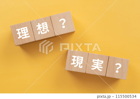 理想？現実？の文字が入ったブロック 115500534