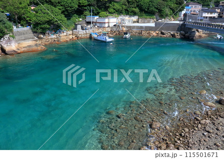 柏島の美しい海 初夏 (高知県 大月町) 柏島の美しい海 初夏 (高知県 大月町) 115501671