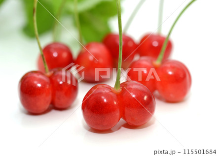 天候不順によりできた双子さくらんぼ 天候不順によりできた双子さくらんぼ 115501684