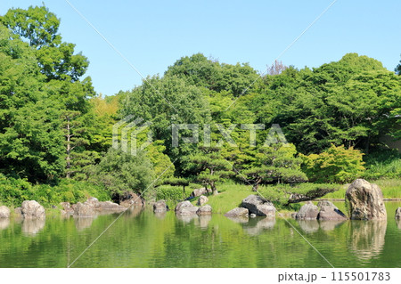 鮮やかな緑につつまれた公園の庭 鮮やかな緑につつまれた公園の庭 115501783