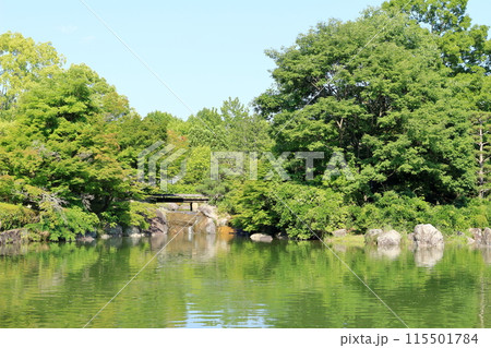鮮やかな緑につつまれた公園の庭 115501784