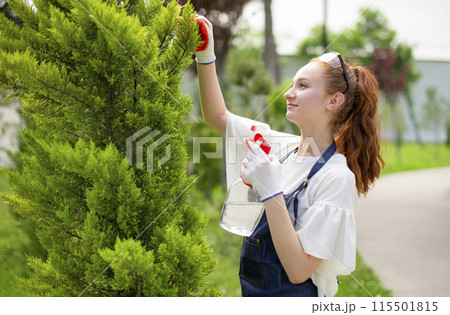 Side view of girl with red hair standing, working in garden, looking forward. Concept of taking care of plants. Side view of girl with red hair standing, working in garden, looking forward. Concept of taking care of plants. 115501815