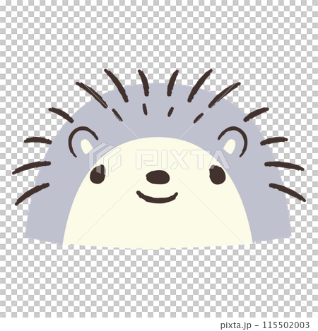 かわいい手描きのハリネズミのイラスト 115502003