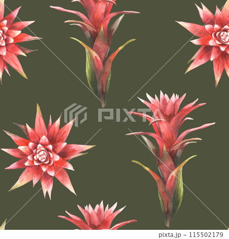 Watercolor tropical red flower seamless pattern, home plant buds and leaves. Exotic flowering bromeliad, jungle floral fabric. Hand drawn illustration for textile print. Isolated on dark background.  115502179