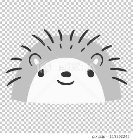 かわいい手描きのハリネズミのイラスト かわいい手描きのハリネズミのイラスト 115502243