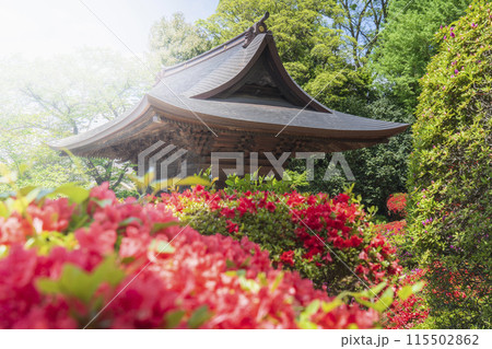 川崎の観光名所 「神木山等覚院(つつじ寺)」の仁王門とツツジ【神奈川県・川崎市】 川崎の観光名所 「神木山等覚院(つつじ寺)」の仁王門とツツジ【神奈川県・川崎市】 115502862