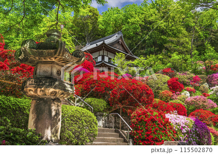 川崎の観光名所 「神木山等覚院(つつじ寺)」の風景【神奈川県・川崎市】 川崎の観光名所 「神木山等覚院(つつじ寺)」の風景【神奈川県・川崎市】 115502870