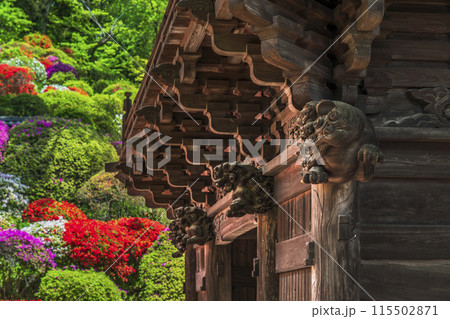 川崎の観光名所　「神木山等覚院（つつじ寺）」の仁王門【神奈川県・川崎市】 115502871