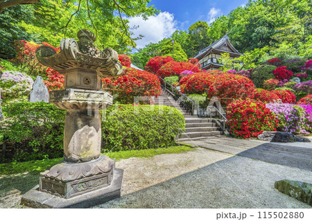 川崎の観光名所　「神木山等覚院（つつじ寺）」の風景【神奈川県・川崎市】 115502880