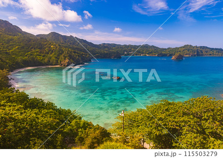 小笠原諸島 境浦海岸から望む絶景 小笠原諸島 境浦海岸から望む絶景 115503279