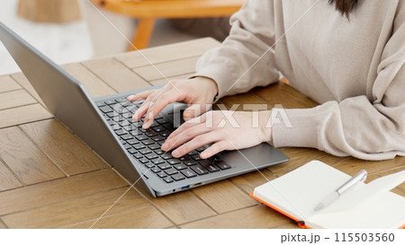パソコンで調べ物をする女性 パソコンで調べ物をする女性 115503560