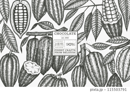 Cocoa design template. Chocolate cocoa beans background. Vector hand drawn illustration. Vintage style illustration. Cocoa design template. Chocolate cocoa beans background. Vector hand drawn illustration. Vintage style illustration. 115503791