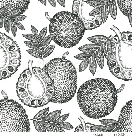 Hand drawn sketch style jackfruit seamless pattern. Organic fresh fruit vector illustration. Retro breadfruit background Hand drawn sketch style jackfruit seamless pattern. Organic fresh fruit vector illustration. Retro breadfruit background 115503800