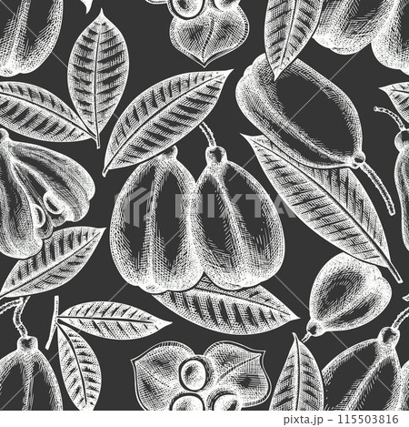 Hand drawn sketch style ackee seamless pattern. Organic fresh food vector illustration on chalk board. Retro exotic fruit background. Hand drawn sketch style ackee seamless pattern. Organic fresh food vector illustration on chalk board. Retro exotic fruit background. 115503816