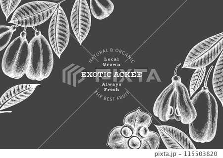 Hand drawn sketch style ackee banner. Organic fresh food vector illustration on chalk board. Retro exotic fruit design template. Engraved style botanical background. 115503820