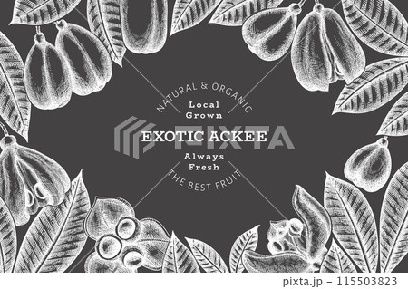 Hand drawn sketch style ackee banner. Organic fresh food vector illustration on chalk board. Retro exotic fruit design template. Engraved style botanical background. 115503823