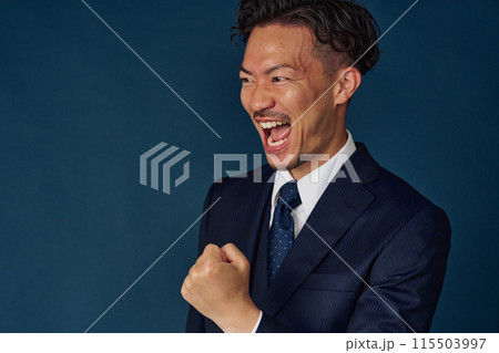 ガッツポーズをするビジネスマン 115503997