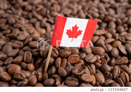 Canada flag on coffee bean, import export trade online commerce. Canada flag on coffee bean, import export trade online commerce. 115504607